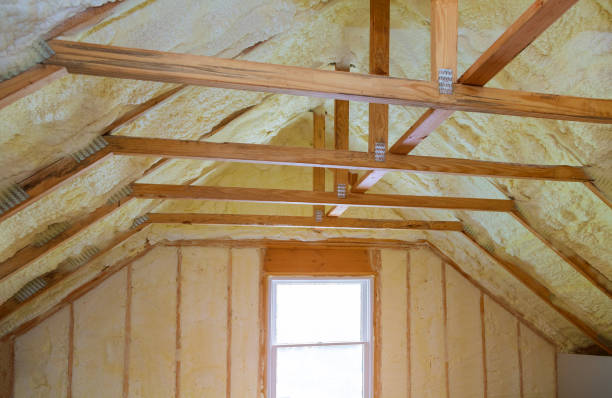 Best Specialized Insulation Services in Hasson Heights, PA