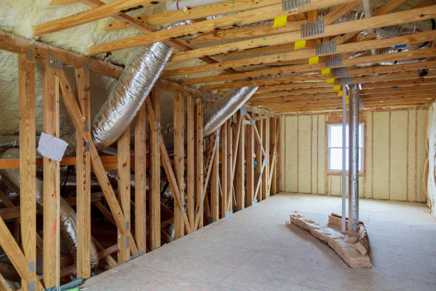 Best Geographic-Specific Insulation Services in Hasson Heights, PA