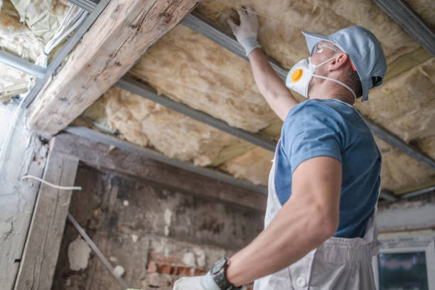 Best Spray Foam Insulation in Hasson Heights, PA