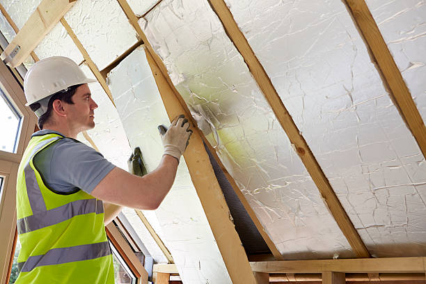 Best Insulation for Specific Applications in Hasson Heights, PA