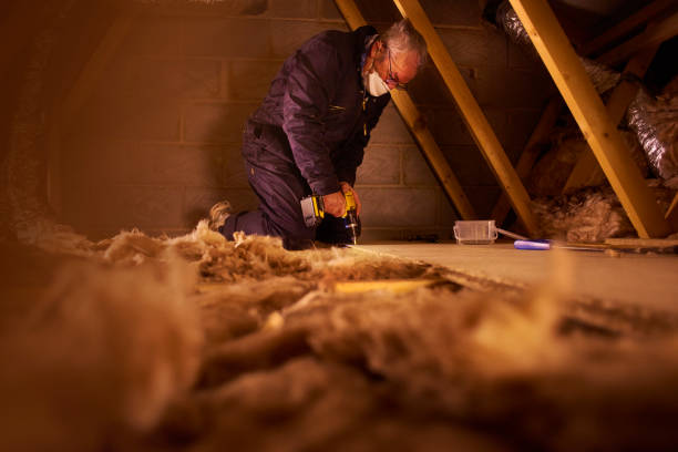 Types of Insulation We Offer in Hasson Heights, PA
